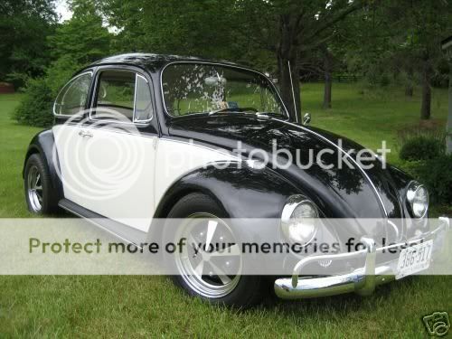 A thread on VW's. What do you guys think? - Homesteading Questions