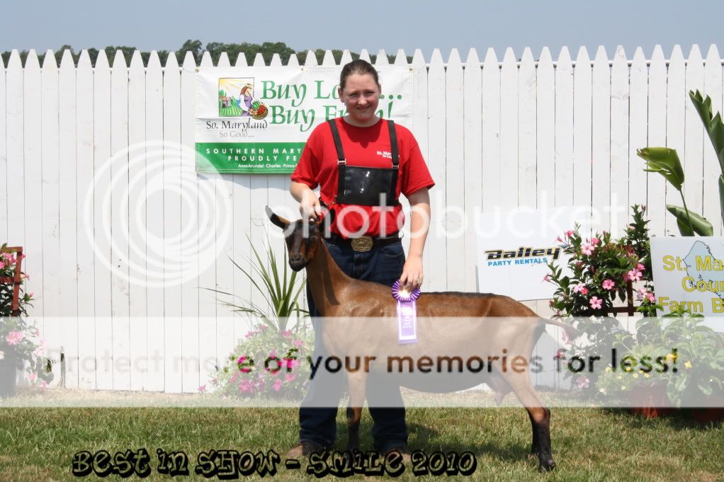 So proud - Show Pictures - Goats