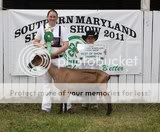 Little Brag (Pix) - Goats