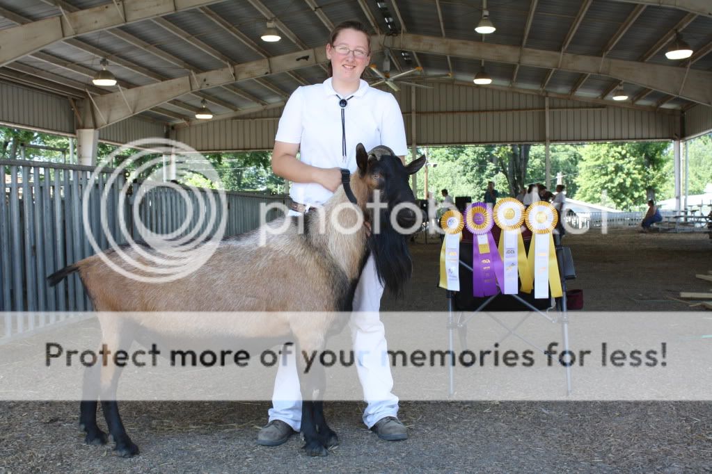 Little Brag (pic) - Goats