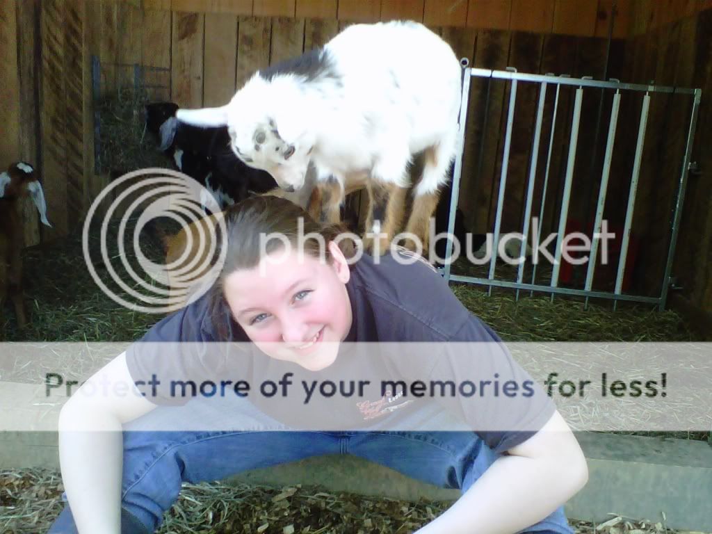 Goat or Parrot?  You Decide (Picture) - Goats