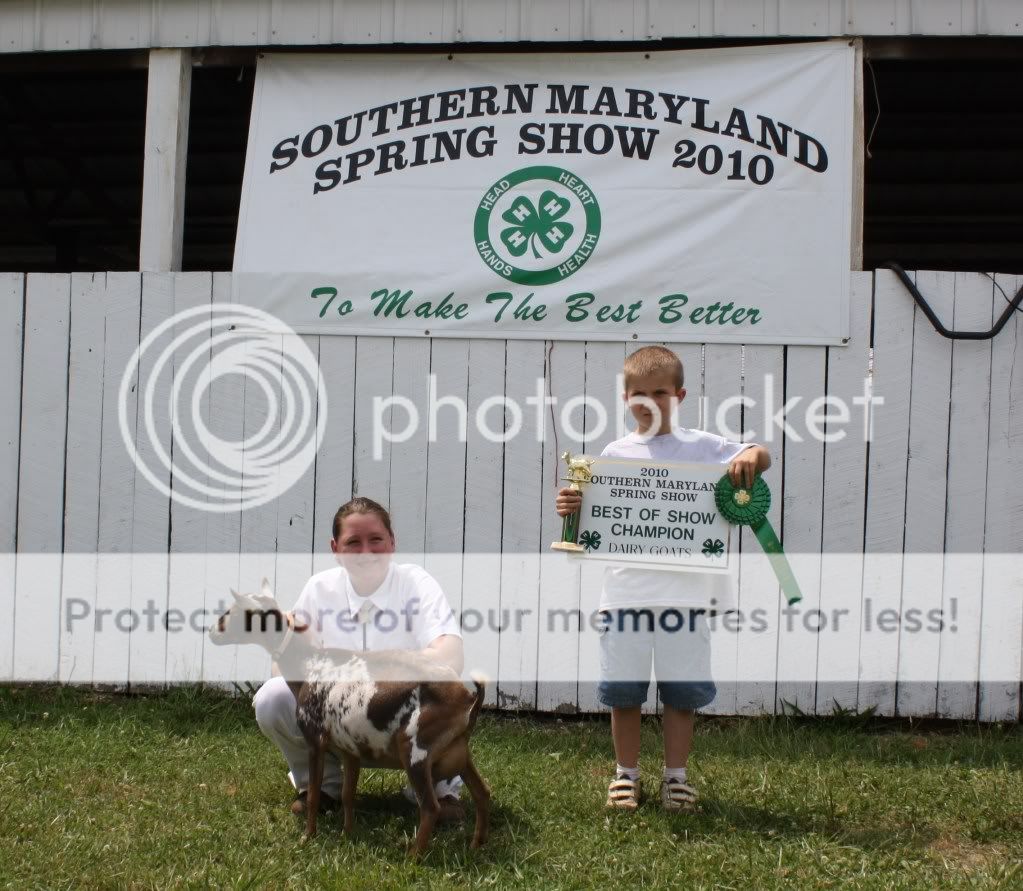 So proud - Show Pictures - Goats
