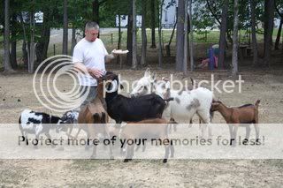 Our NEW ummm....  Goat?  (Pix) - Goats