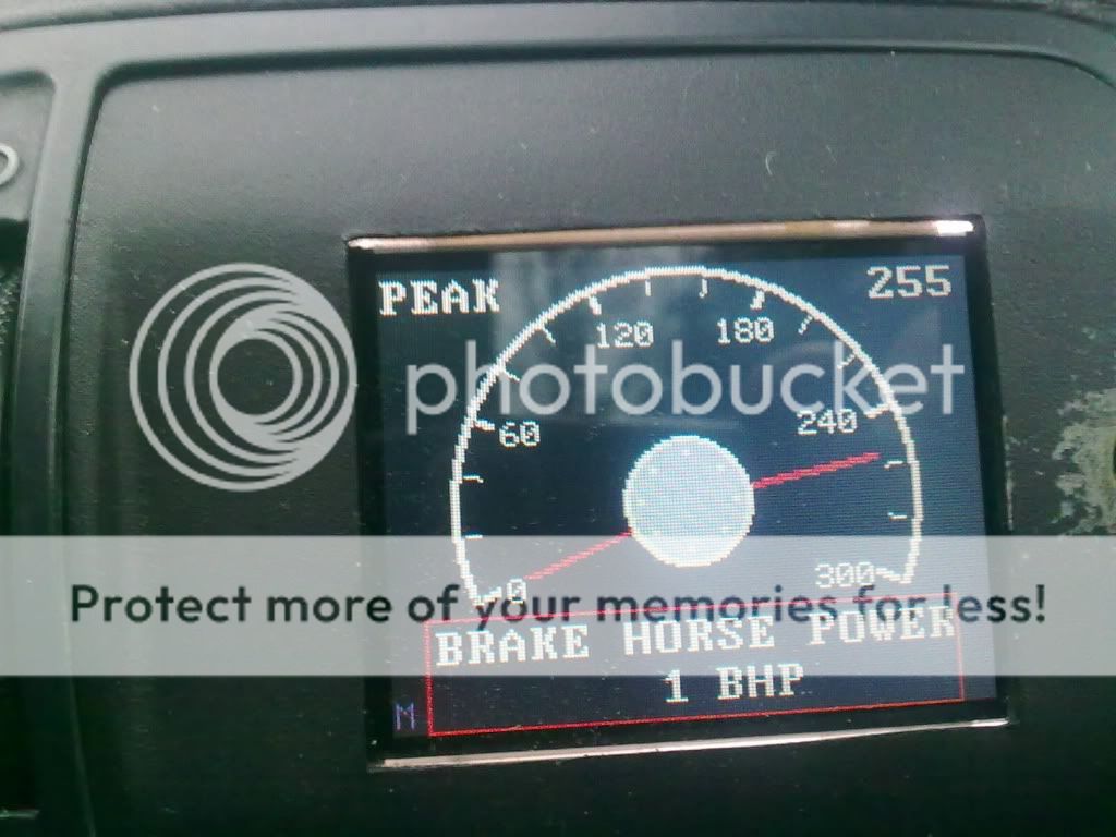 LG255.jpg