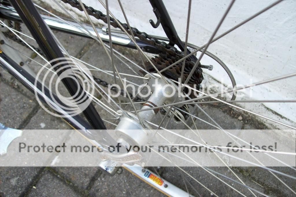  photo 103_2168_zpsa9a68eaf.jpg