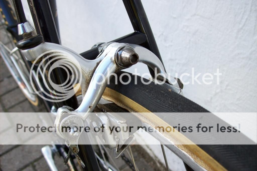  photo 103_2171_zpsecbacf57.jpg