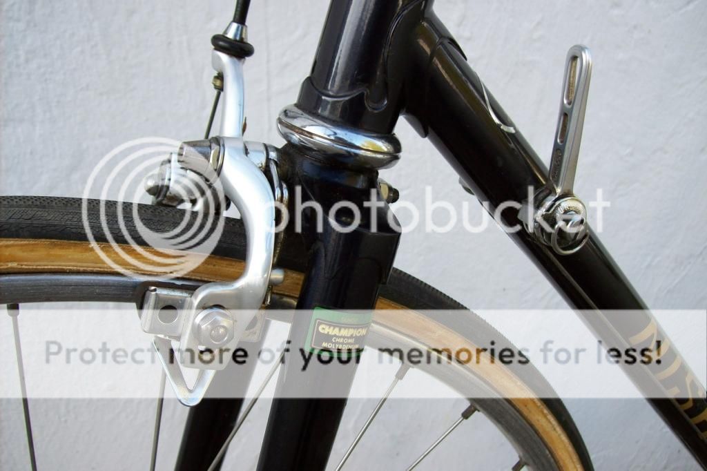  photo 103_2177_zpsf438471f.jpg