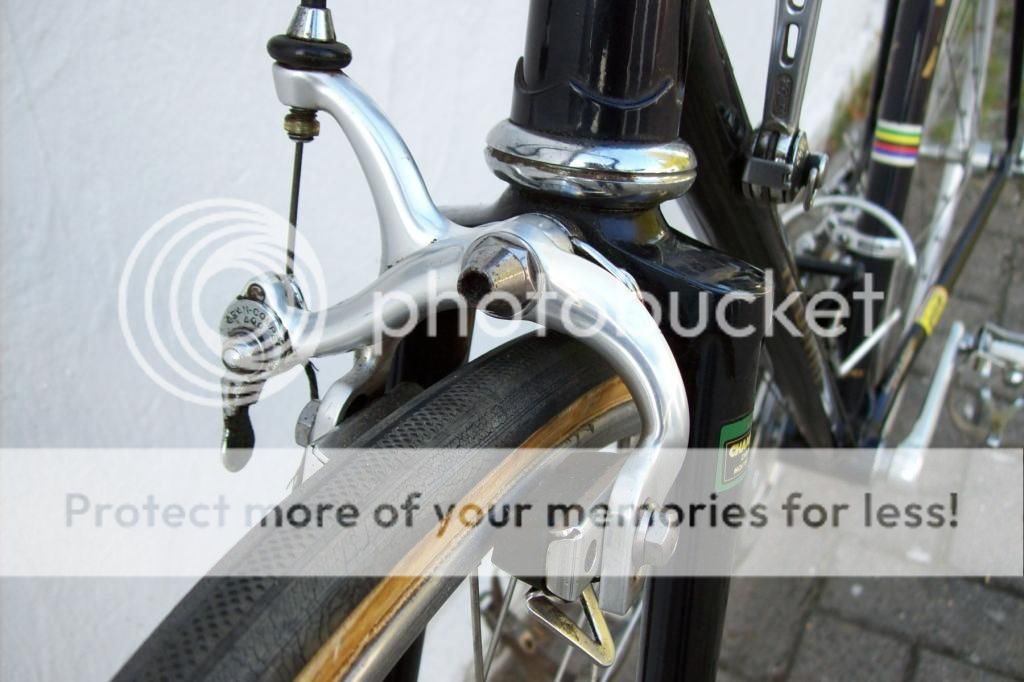  photo 103_2178_zps4d0b9238.jpg