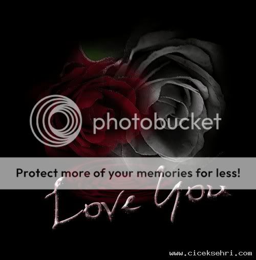 love you Pictures, Images and Photos