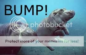 bump.jpg