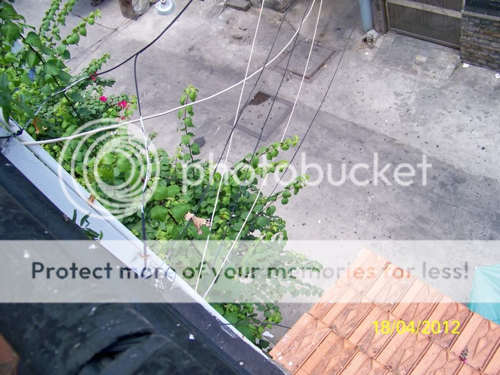 trôm vào nhà lấy đồ còn  cả gan ngồi kế bên luôn - 1