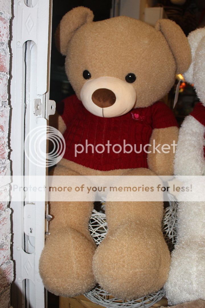 Shop Gấu Bông Béo. Chuyên cung cấp sỉ lẽ gấu teddy cao cấp hàng nhập và các loại gấu bông khác - 17