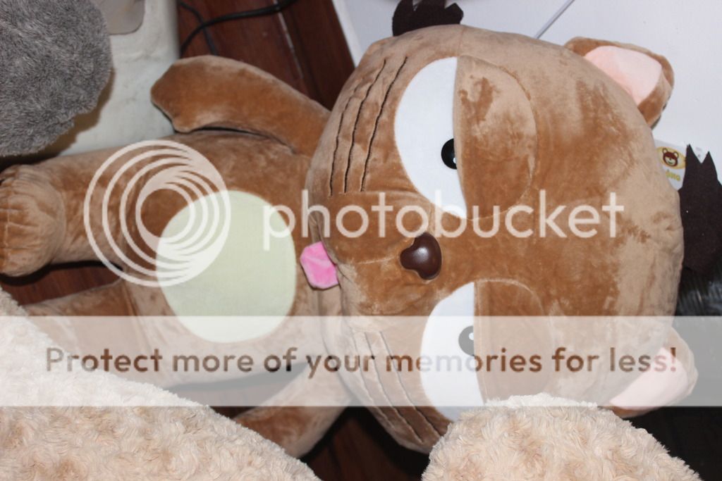 Shop Gấu Bông Béo. Chuyên cung cấp sỉ lẽ gấu teddy cao cấp hàng nhập và các loại gấu bông khác - 35