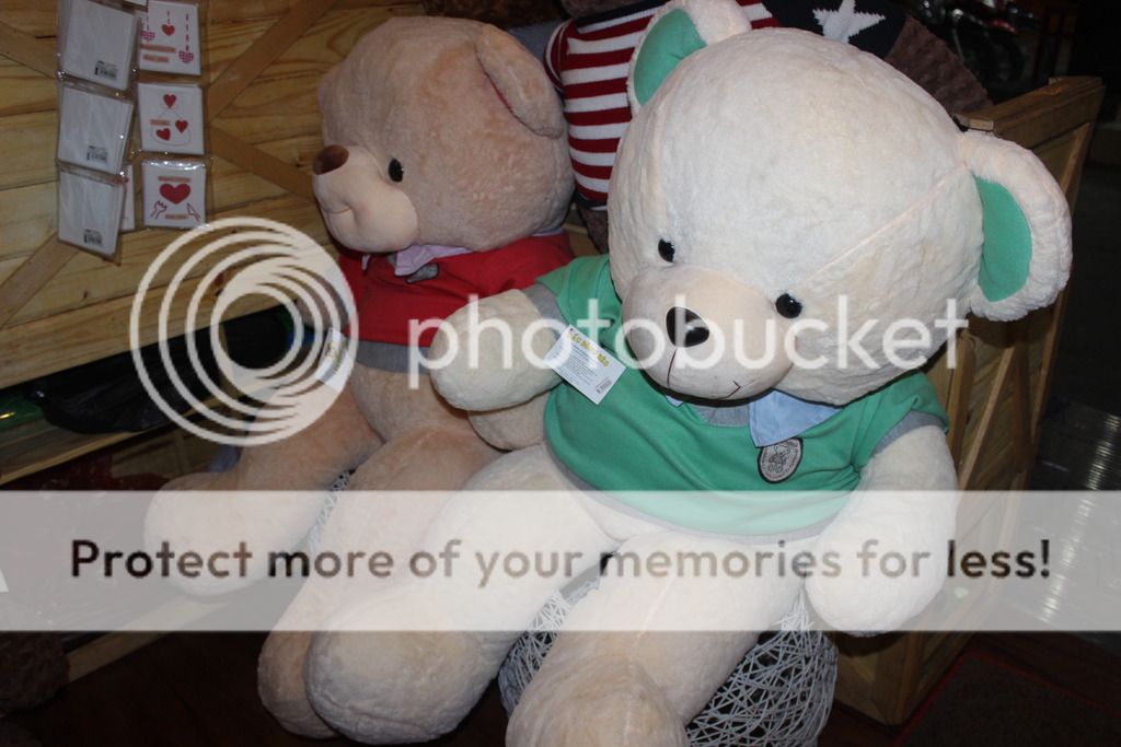 Shop Gấu Bông Béo. Chuyên cung cấp sỉ lẽ gấu teddy cao cấp hàng nhập và các loại gấu bông khác - 32