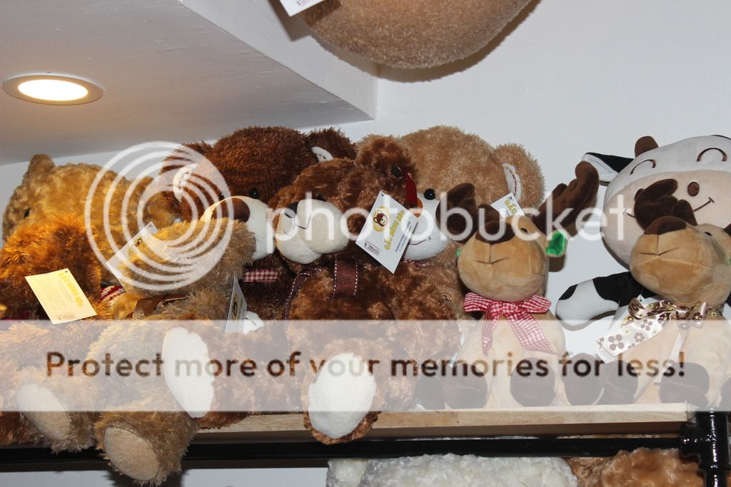 Shop Gấu Bông Béo. Chuyên cung cấp sỉ lẽ gấu teddy cao cấp hàng nhập và các loại gấu bông khác - 8