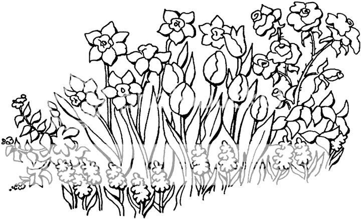 Flowers Coloring Page Photo by printablecoloringpages | Photobucket