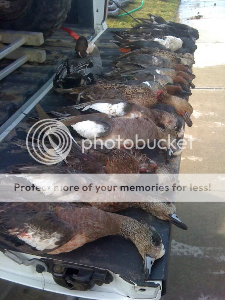 Duck Hunting Chat • MERRY CHRISTMAS EVERYONE California Duck Hunting