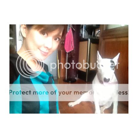 photo d1_zps5a217d85.jpg