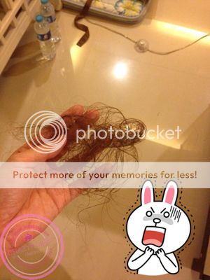 photo s3_zps130a358c.jpg